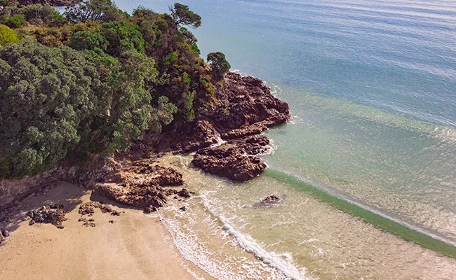 Aerial shot of a beach with rocks and trees in the corner